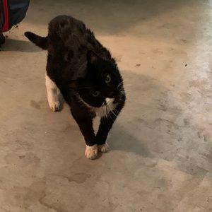 Meet your Posher, Erin